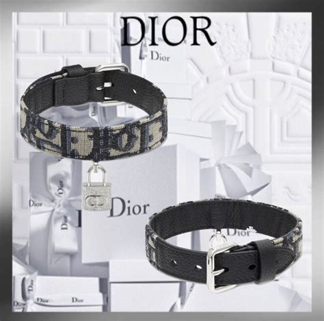 dior cat clothes|Dior dog necklace.